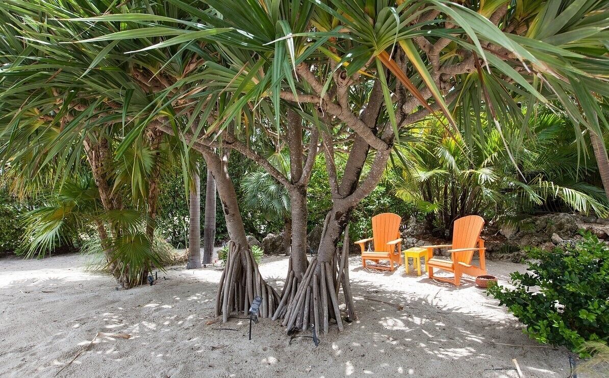 A sandy outdoor area with trees and two orange chairs.