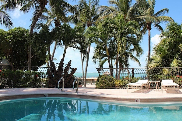 Outdoor pool, sun loungers