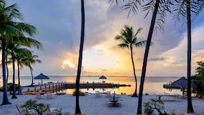 A beachside resort with lounge chairs, a pool, and palm trees. - Kona Kai Resort and Gallery - Adults Only (Key Largo)