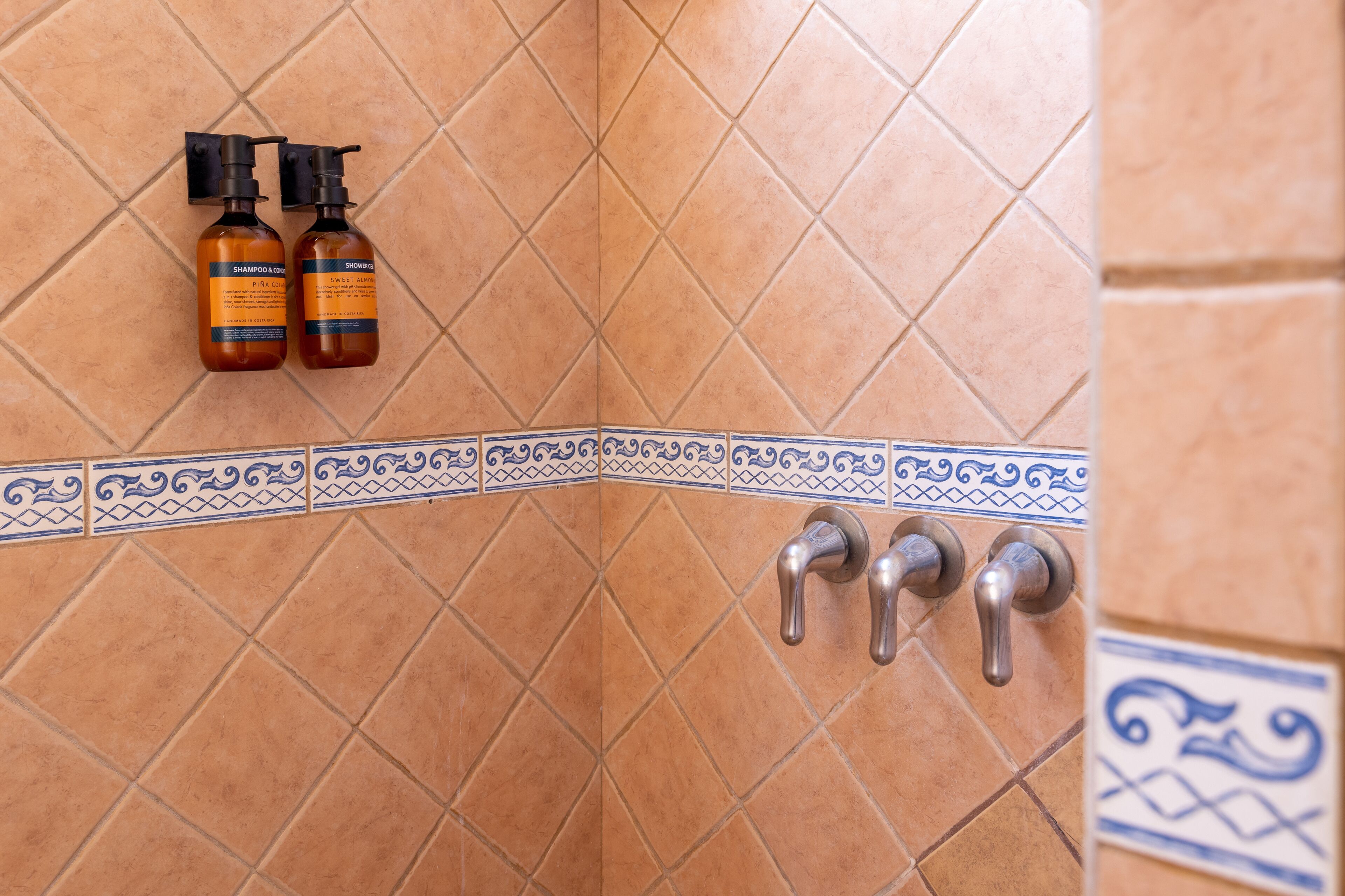 A bathroom with a tiled wall, a decorative border, and two shampoo bottles.