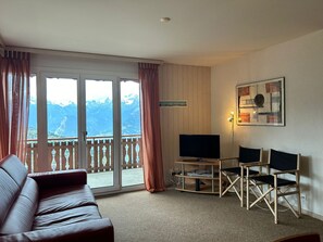 Fernseher, DVD-Player