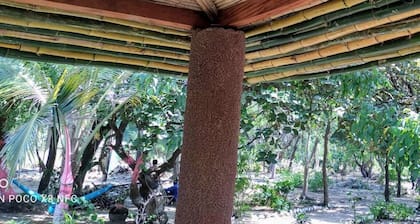 Natur-ubuntu Eco-lodge