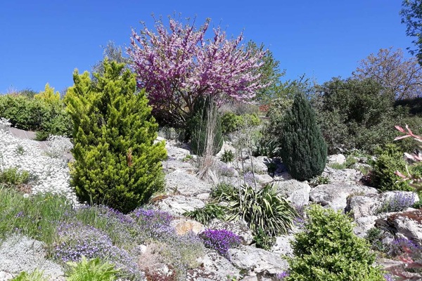 Overnatningsstedets område