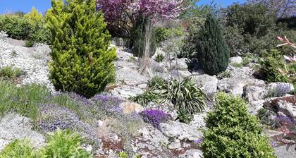 La JouvenciĂšre, rated 3 ***