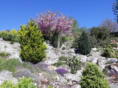 La Jouvencière, rated 3 ***