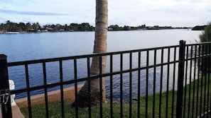 Property grounds - A private waterfront Lake Ida setting located in the middle of 23 acres (Boynton Beach)