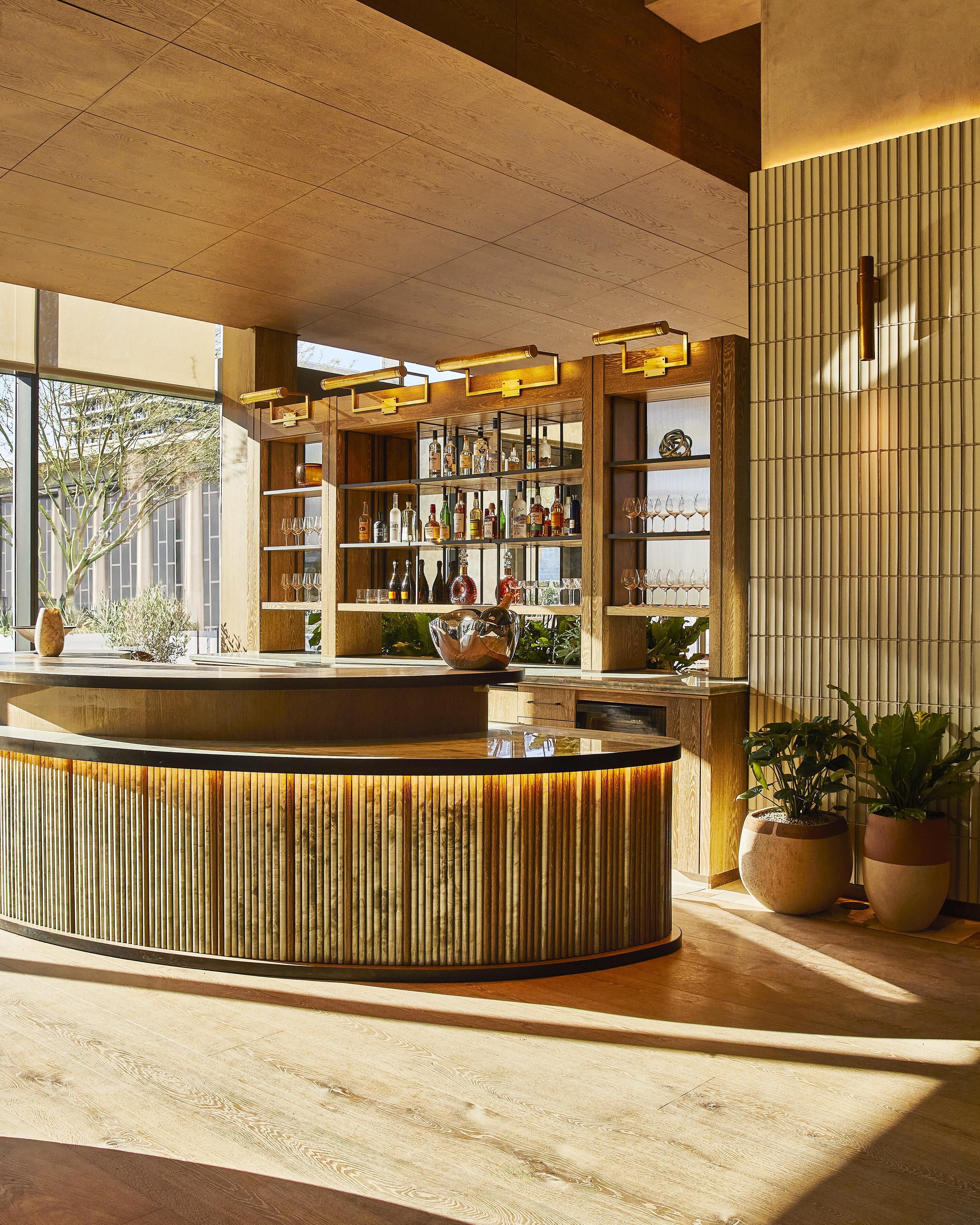 Zona de bar con mostrador de madera, estantes con botellas y copas, y plantas en macetas.