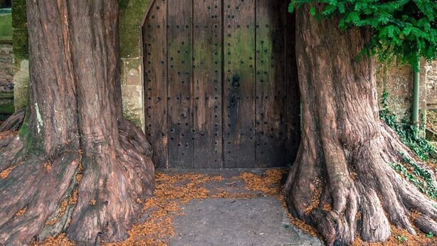 A large wooden door with a pointed arch and a lantern above it, surrounded by large trees.