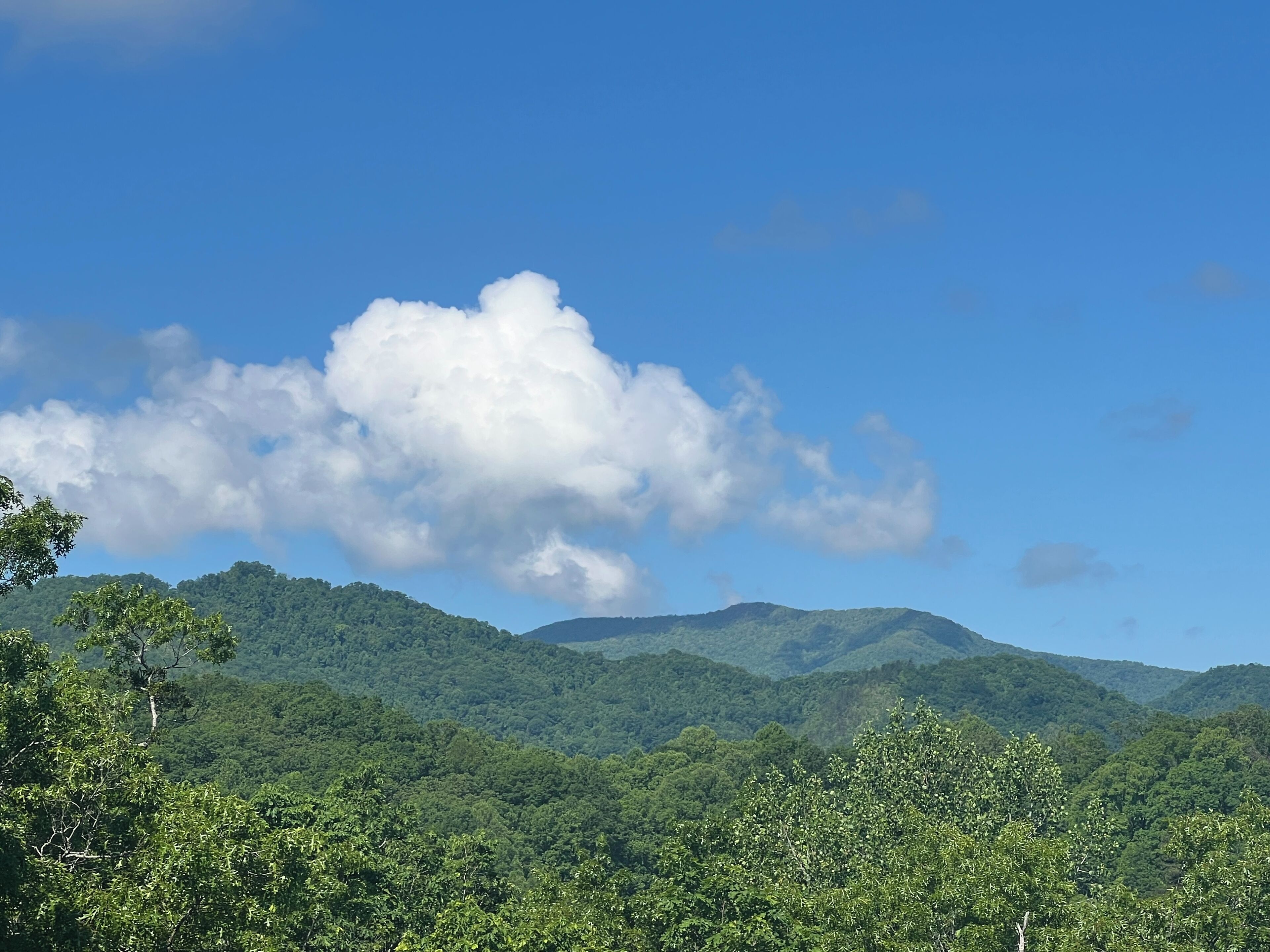 New/3 bdr/2 bath/Ramp/Magnificent Mtns/Wi-Fi/5 mi. to Casino/Hot Tub/Fire pit.