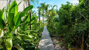 A wooden pathway flanked by lush tropical plants and palm trees, leading through a garden area.