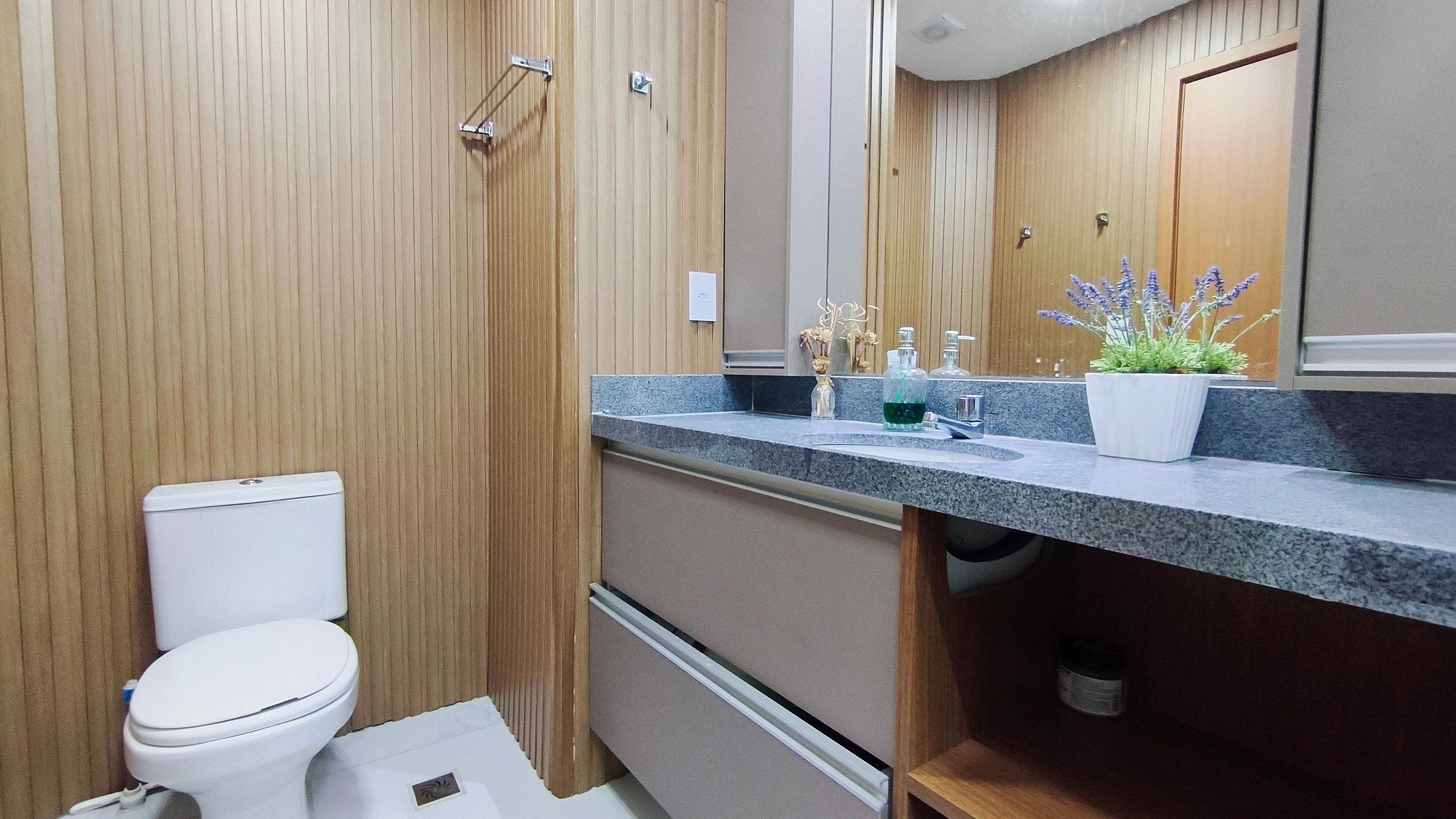 A bathroom with a toilet, a sink with a mirror, and a potted plant.
