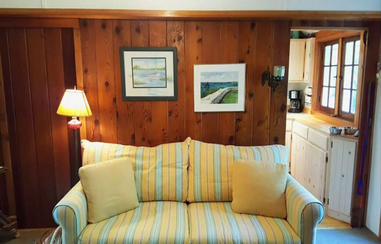 电视、壁炉、DVD 播放器