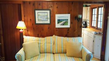 电视、壁炉、DVD 播放器