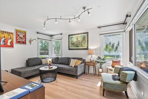 智能电视、DVD 播放器、立体声音响、电脑显示器