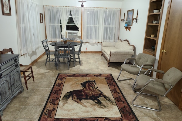 Televisor intel·ligent, reproductor de DVD, llibres i videoteca