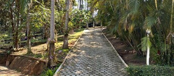 Property with swimming pool, soccer field, Wi-Fi, and a lake with many fish.