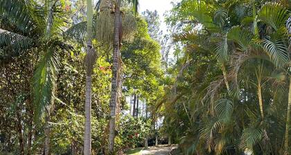 Site with swimming pool, wi-fi soccer field and lake with lots of fish