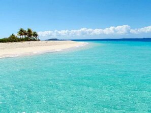 A beach with clear turquoise water, a sandy shore, and palm trees.