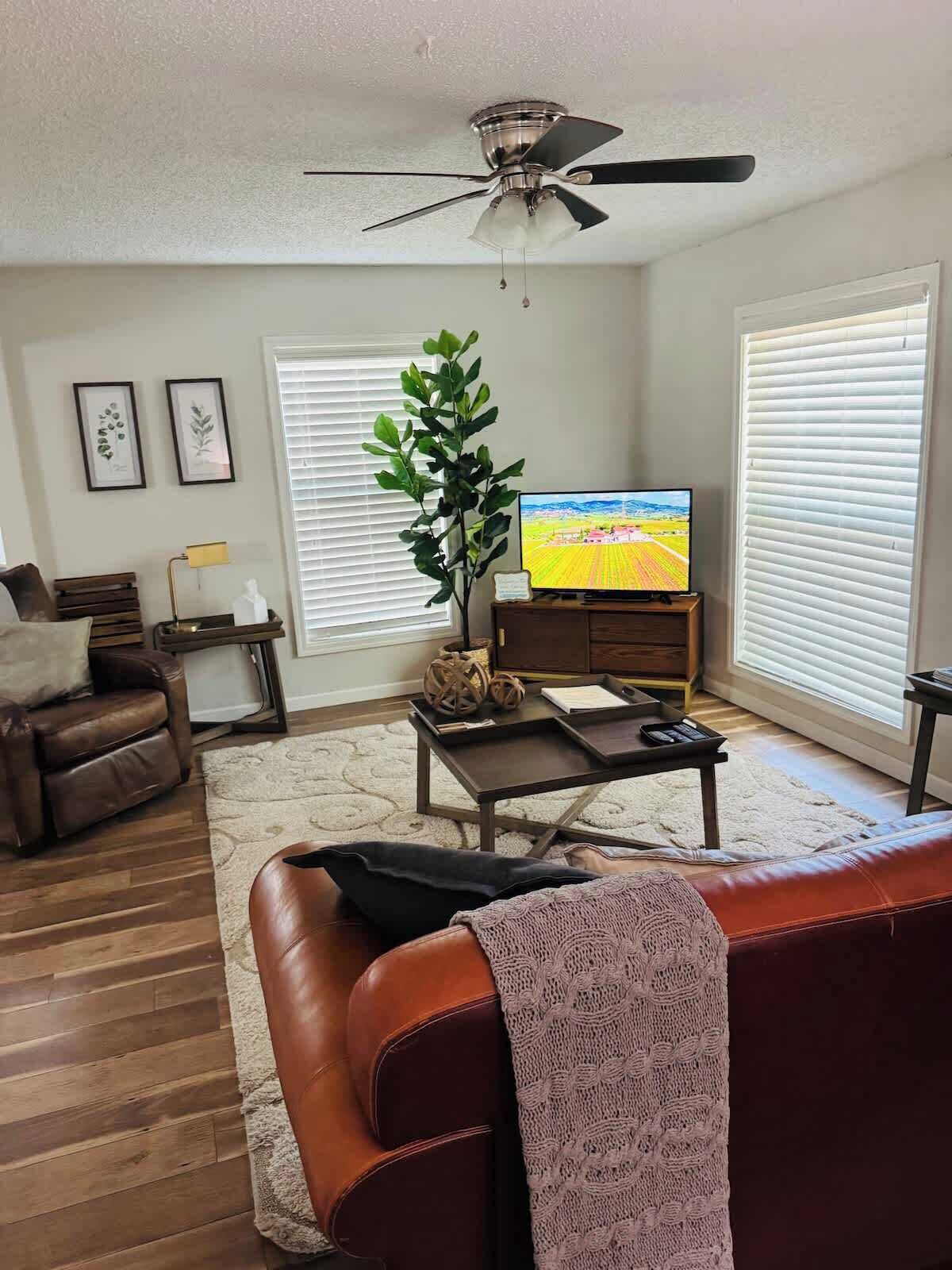 A living room with a brown leather sofa, a coffee table, a television, a ceiling fan, and a potted plant.