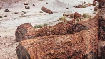 A book page with a photograph of a rocky landscape and a large log.