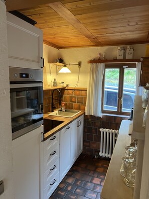 Fridge, oven, stovetop, dishwasher - House on the vineyard below Rothenburg (Rothenburg ob der Tauber)