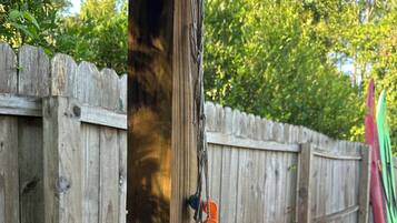 A wooden fence with a kayak and a paddle leaning against it.