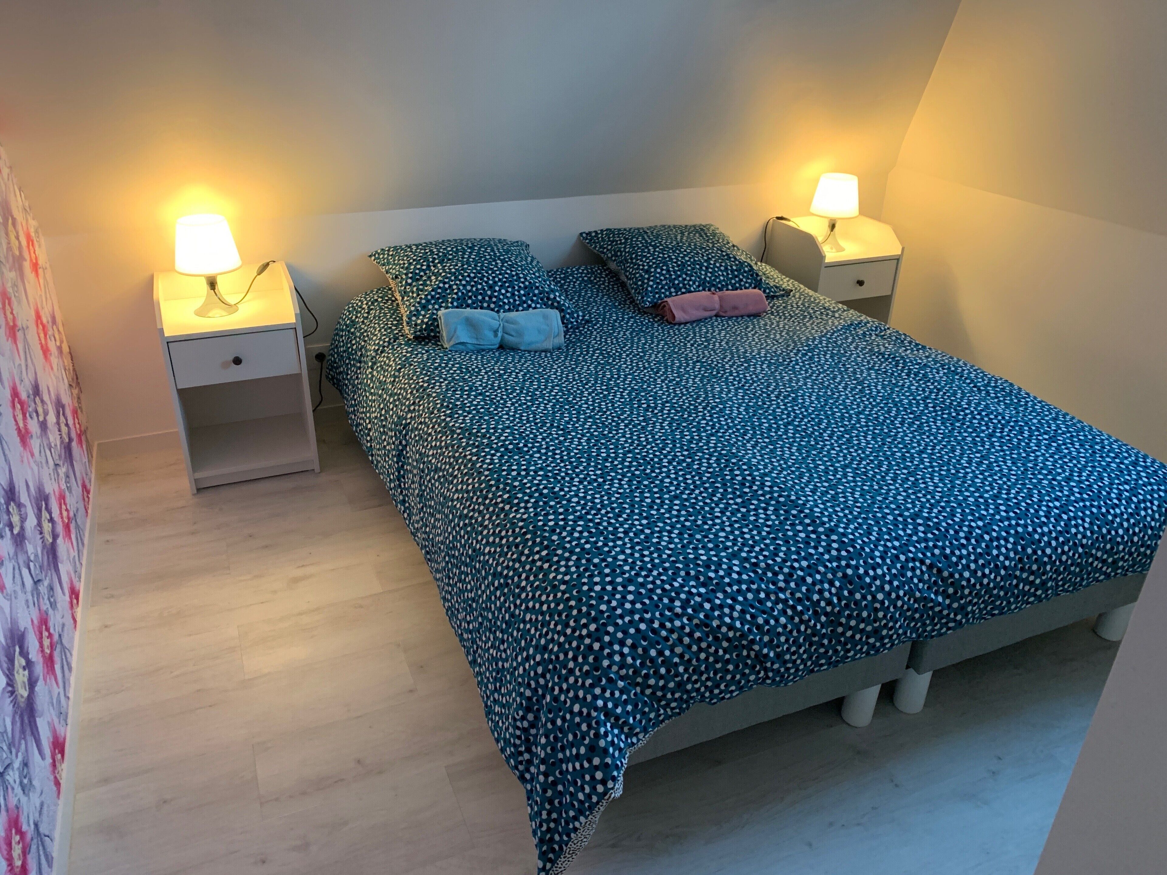 2 bedrooms, iron/ironing board, free WiFi, bed sheets