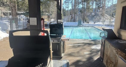 Tahoe Palisades, 1 bdrm suite, mini kitchen, ski shuttle