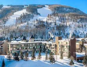 Exterior - Large slope side, pool, hot tub and amazing mountain views!! (Vail)