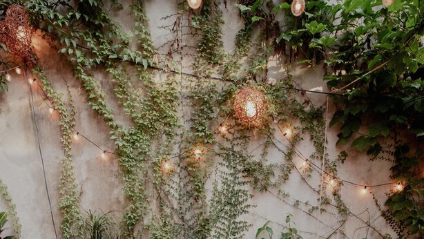 Courtyard - Hostal Del Jaguar  - Hostel (Tulum)