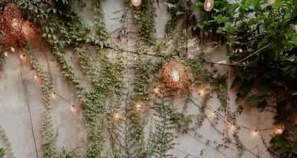 Hostal Del Jaguar - Hostel