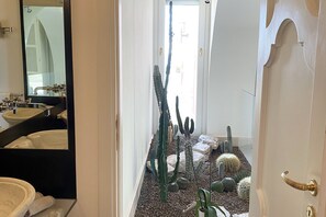 Um corredor estreito com um espelho refletindo um banheiro, que leva a um espaço com um jardim de cactos.