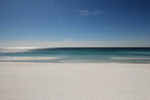 Ein Strand mit blauem Himmel und ruhiger See.