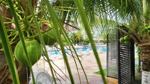 3 indoor pools, open 8:00 AM to 8:00 PM, pool umbrellas, sun loungers - Palm Village Acqua (Ipojuca)