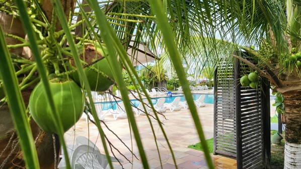 3 indoor pools, open 8:00 AM to 8:00 PM, pool umbrellas, pool loungers - Palm Village Acqua (Ipojuca)