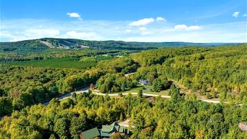 Una vasta area boschiva con una casa ben visibile, circondata da alberi e una strada tortuosa.
