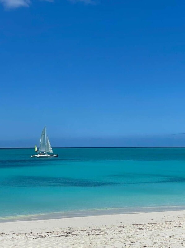 Sun loungers, beach towels