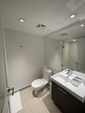 Bathroom features a white toilet, large mirror, and dark cabinet below the sink.