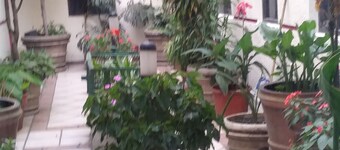 Hotel Ambar