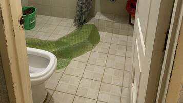 Combined shower/tub, bidet, toilet paper