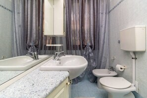 Shower, hair dryer, bidet, towels