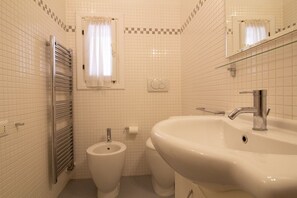 Shower, hair dryer, bidet, towels