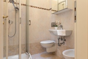 Shower, hair dryer, bidet, towels