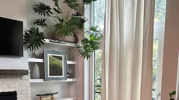 Smart TV, fireplace, DVD player, books