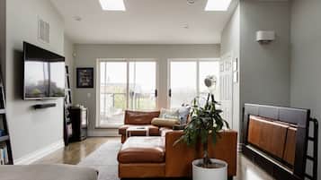 Smart TV, fireplace, DVD player, books