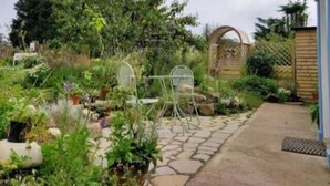 Un jardín con un sendero de piedra, una silla de metal y una cerca de madera.