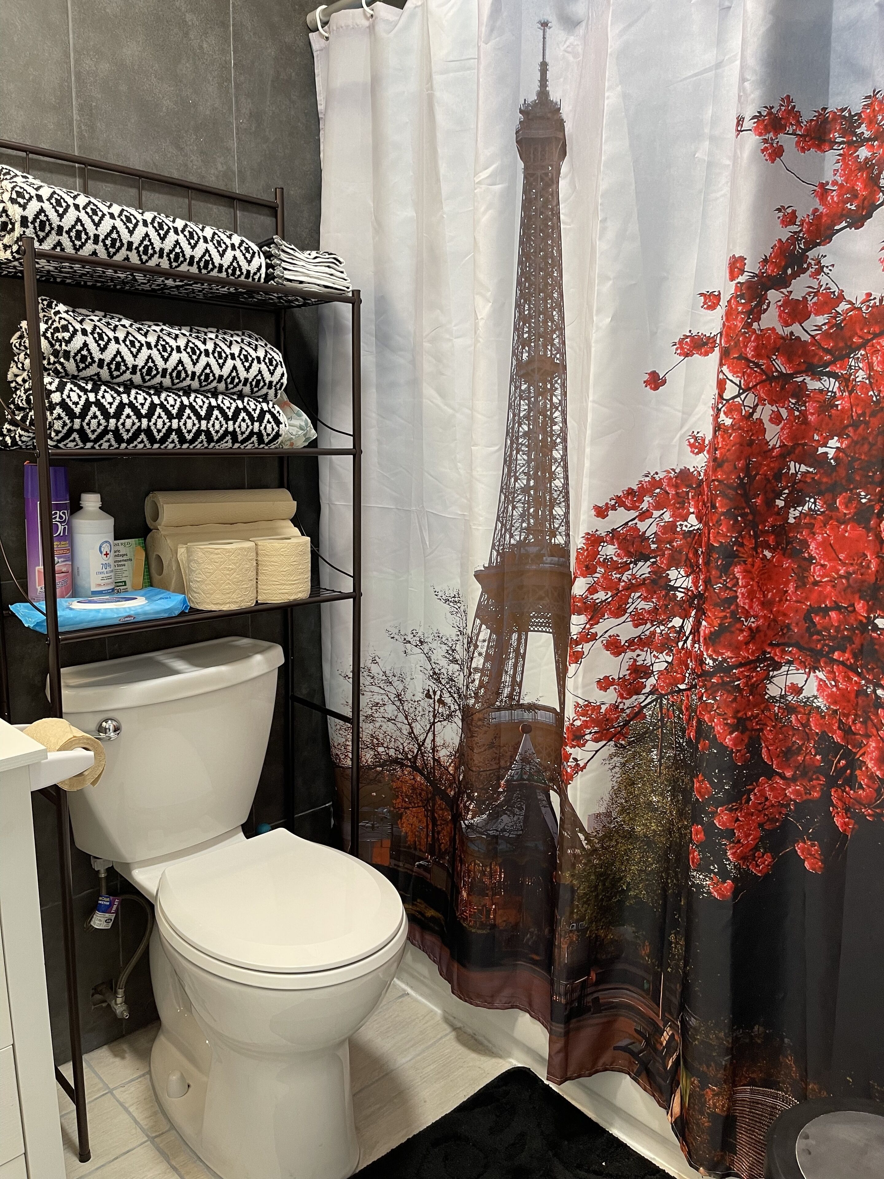 Combined shower/tub, hair dryer, towels, soap
