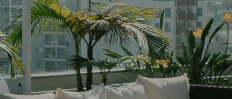 Terrein van de accommodatie