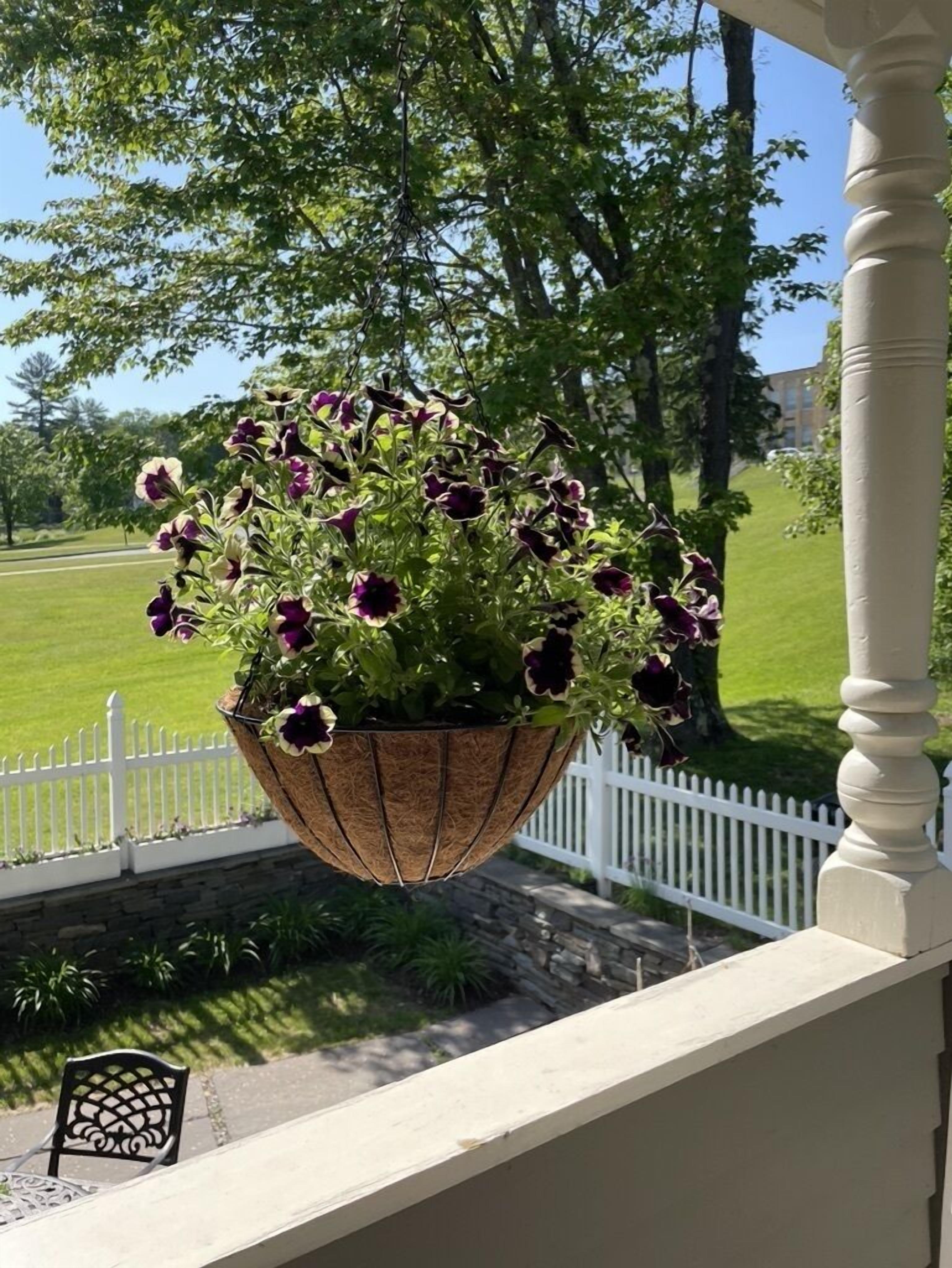 A hanging flower basket with purple and white flowers, a white fence, and a green lawn in the background.