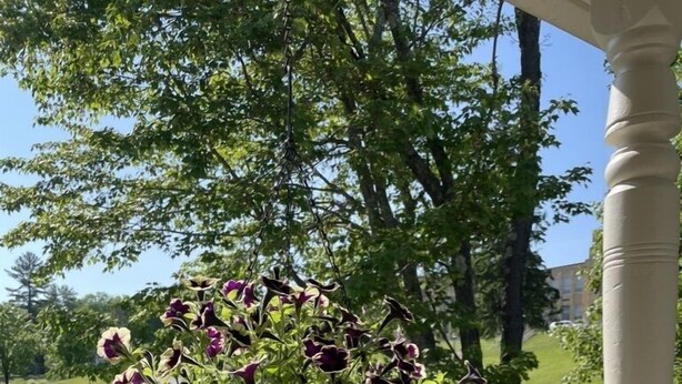 A hanging flower basket with purple and white flowers, a white fence, and a green lawn in the background.